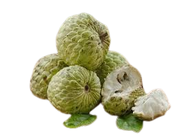 Sandy Custard Apple