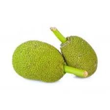  Young Jackfruit