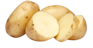 Potato