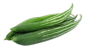 Snake Gourd
