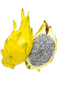 Yellow Pitaya