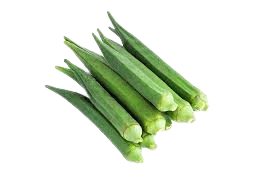 Okra