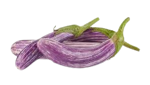 Brinjal