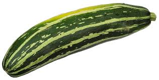 Zucchini