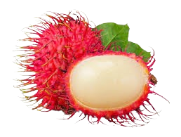 Rambutan
