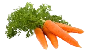 Carrot