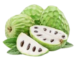 Cherimoya