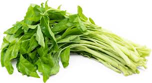 Water Spinach