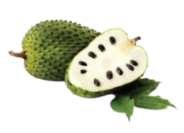 Spiny custard apple