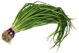 Onion Leaves