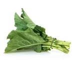 Chinese Kale