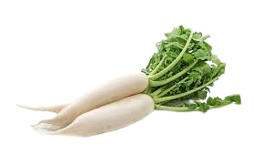 Raddish