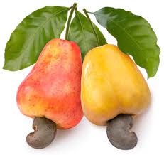 Cashew Apple