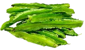 Winged Bean