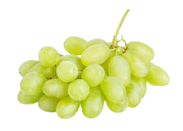 Thompson Seedless