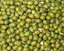 Mung Bean