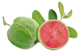 Guava