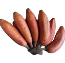 Red Banana
