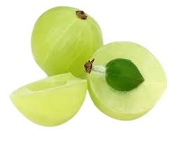 Amla