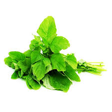 Green Amaranth