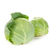 Green  Cabbage