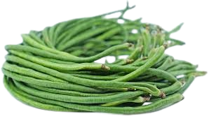 Yard Long Bean